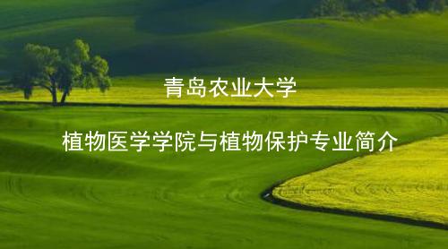 beat365官网植物保护专业介绍